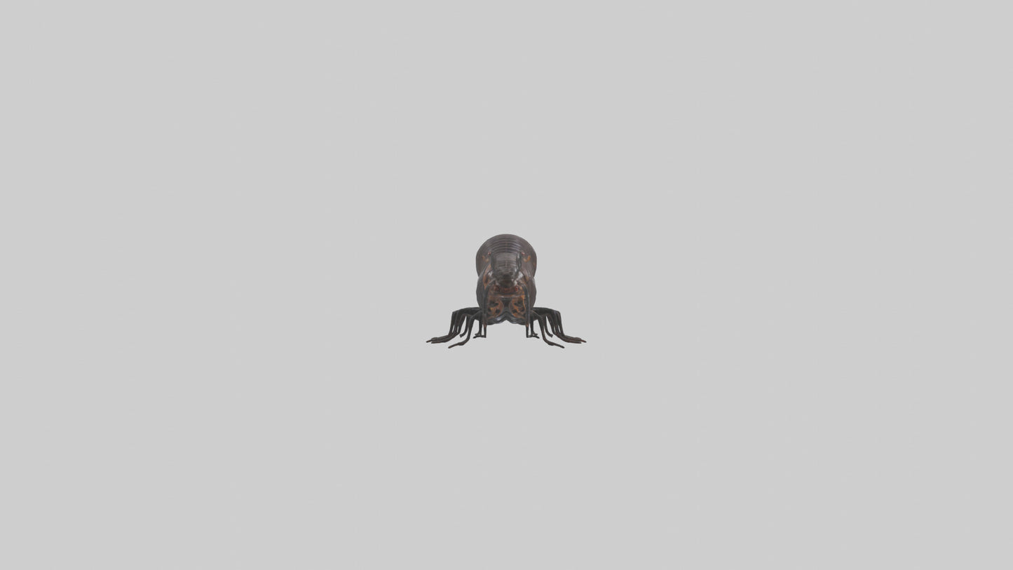 3D model Giant African Millipede crawling model VR / AR / low-poly