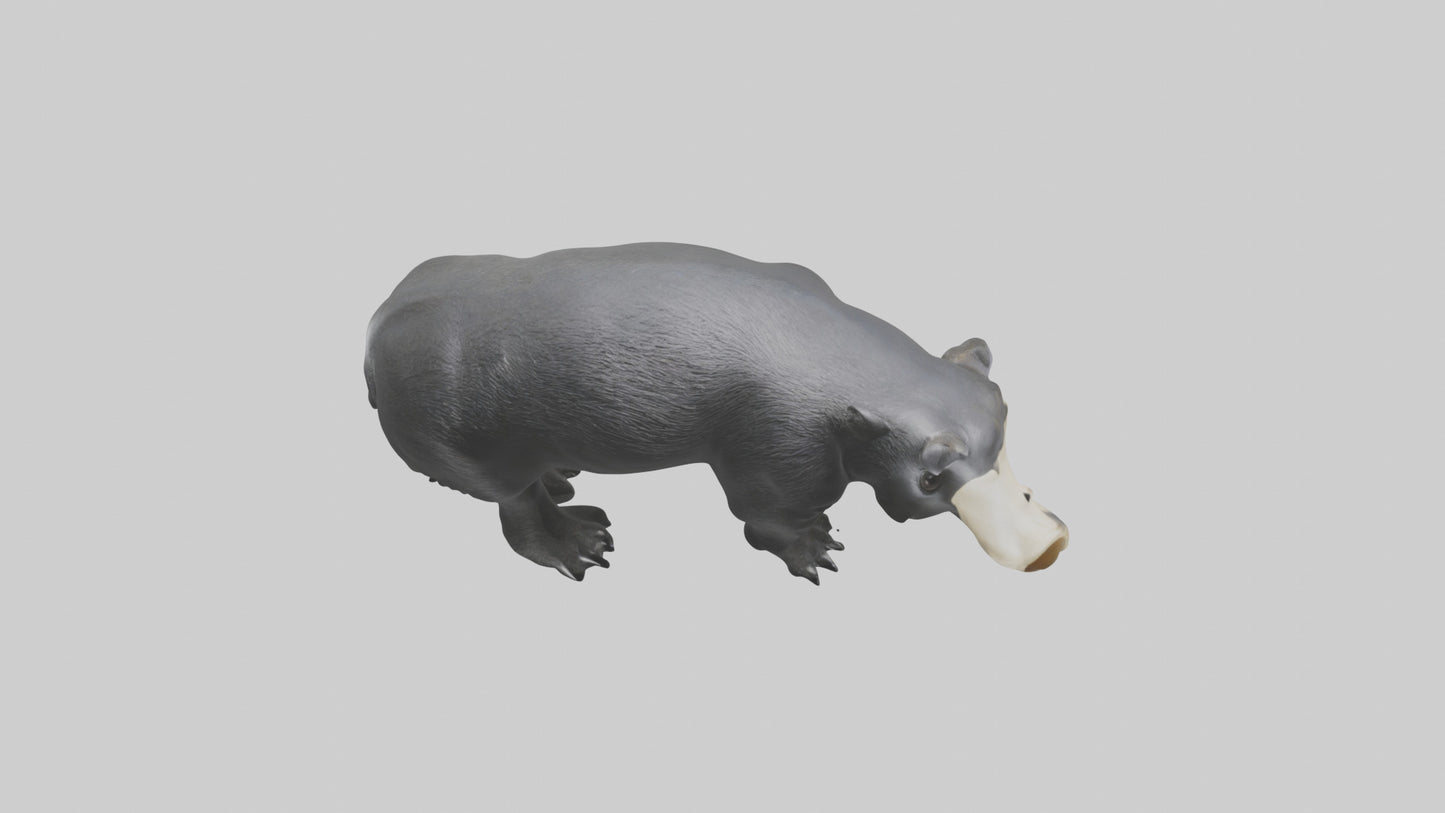 3D model Giant Anteater sniffing ground model VR / AR / low-poly