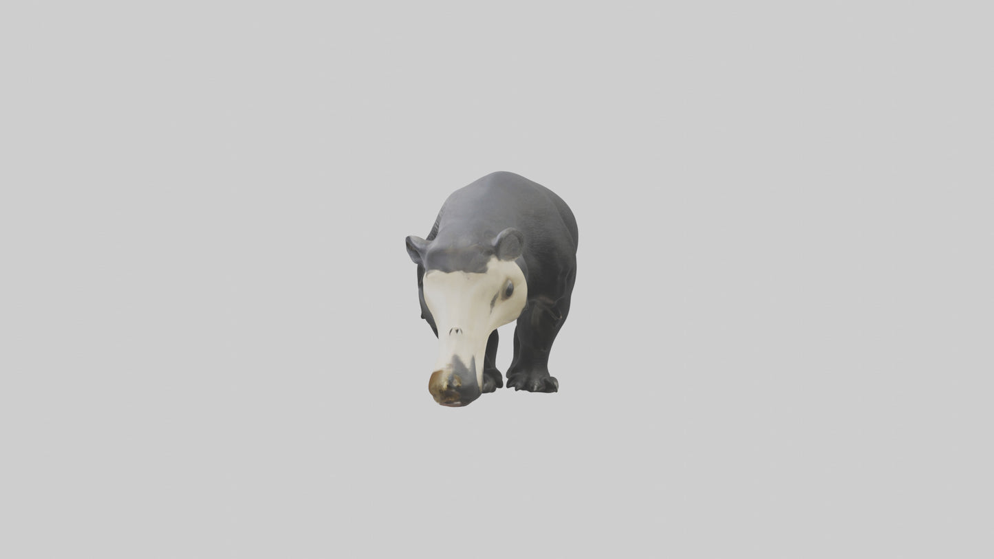 3D model Giant Anteater sniffing ground model VR / AR / low-poly