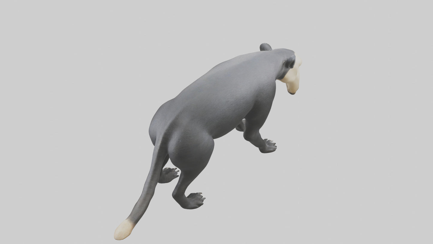 3D model Giant Anteater sniffing ground model VR / AR / low-poly