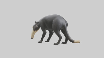 3D model Giant Anteater sniffing ground model VR / AR / low-poly