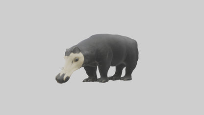3D model Giant Anteater sniffing ground model VR / AR / low-poly