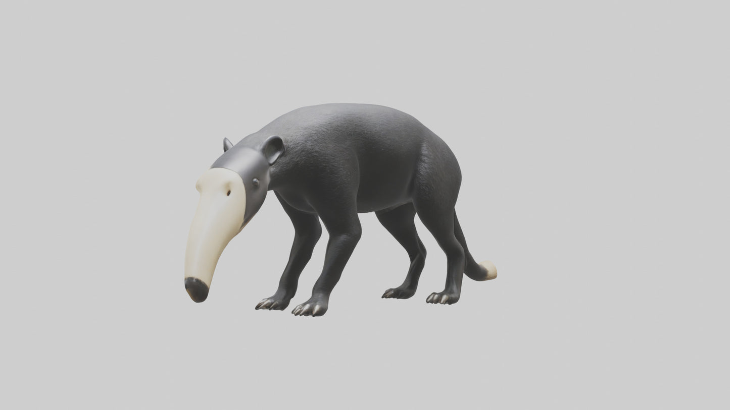 3D model Giant Anteater sniffing ground model VR / AR / low-poly