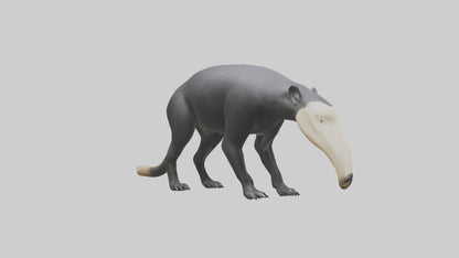 3D model Giant Anteater sniffing ground model VR / AR / low-poly