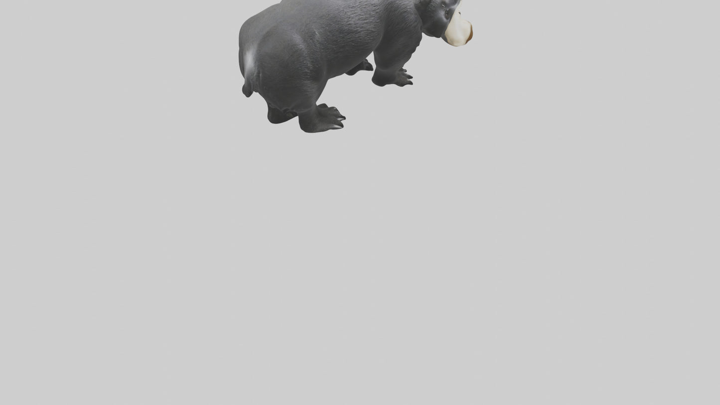 3D model Giant Anteater sniffing ground model VR / AR / low-poly