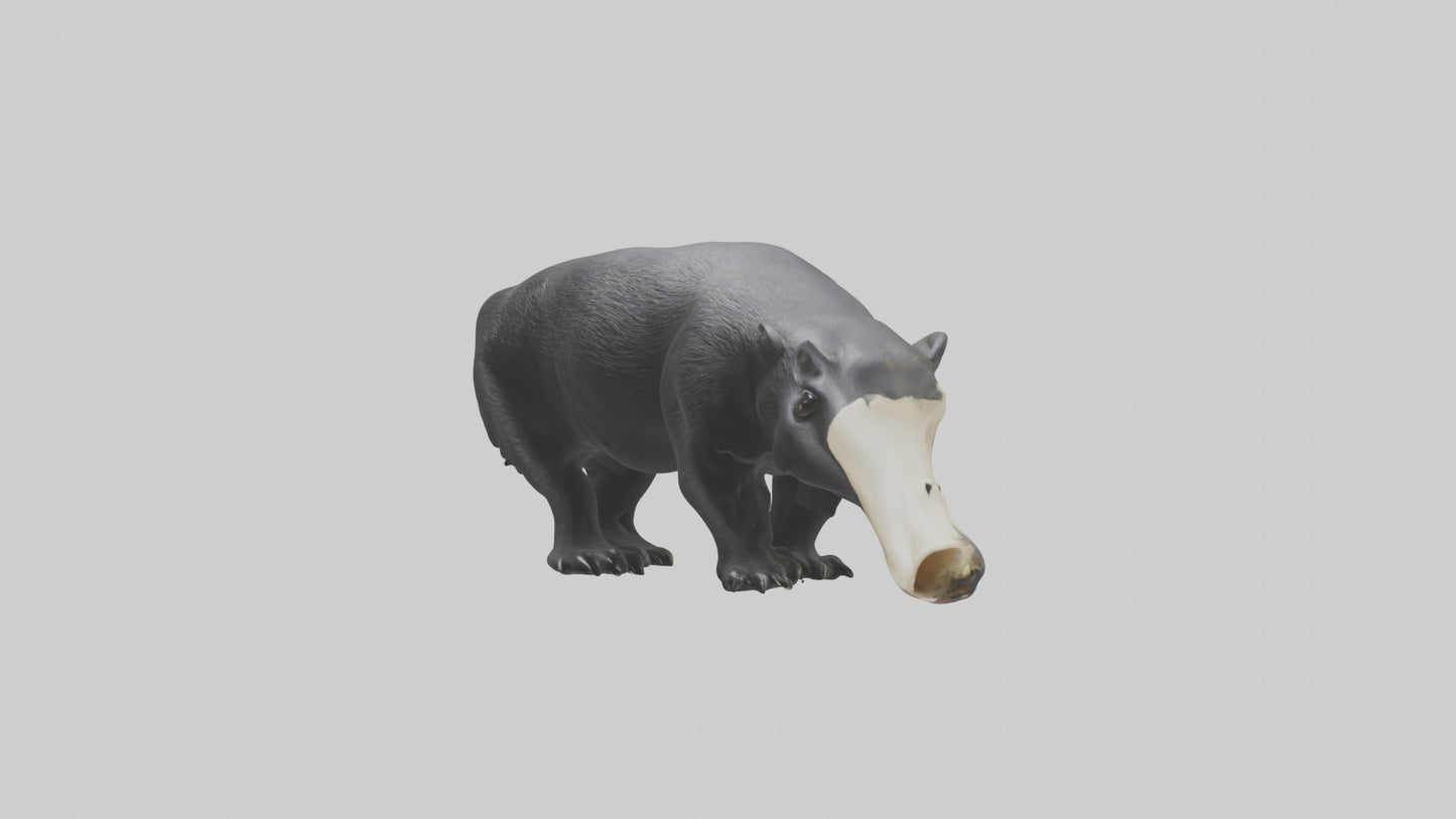3D model Giant Anteater sniffing ground model VR / AR / low-poly