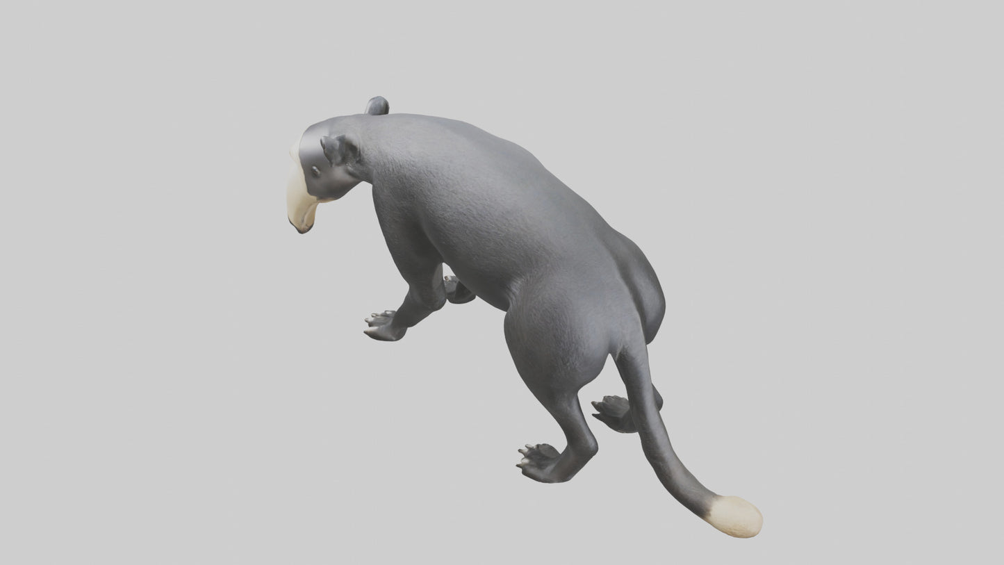 3D model Giant Anteater sniffing ground model VR / AR / low-poly
