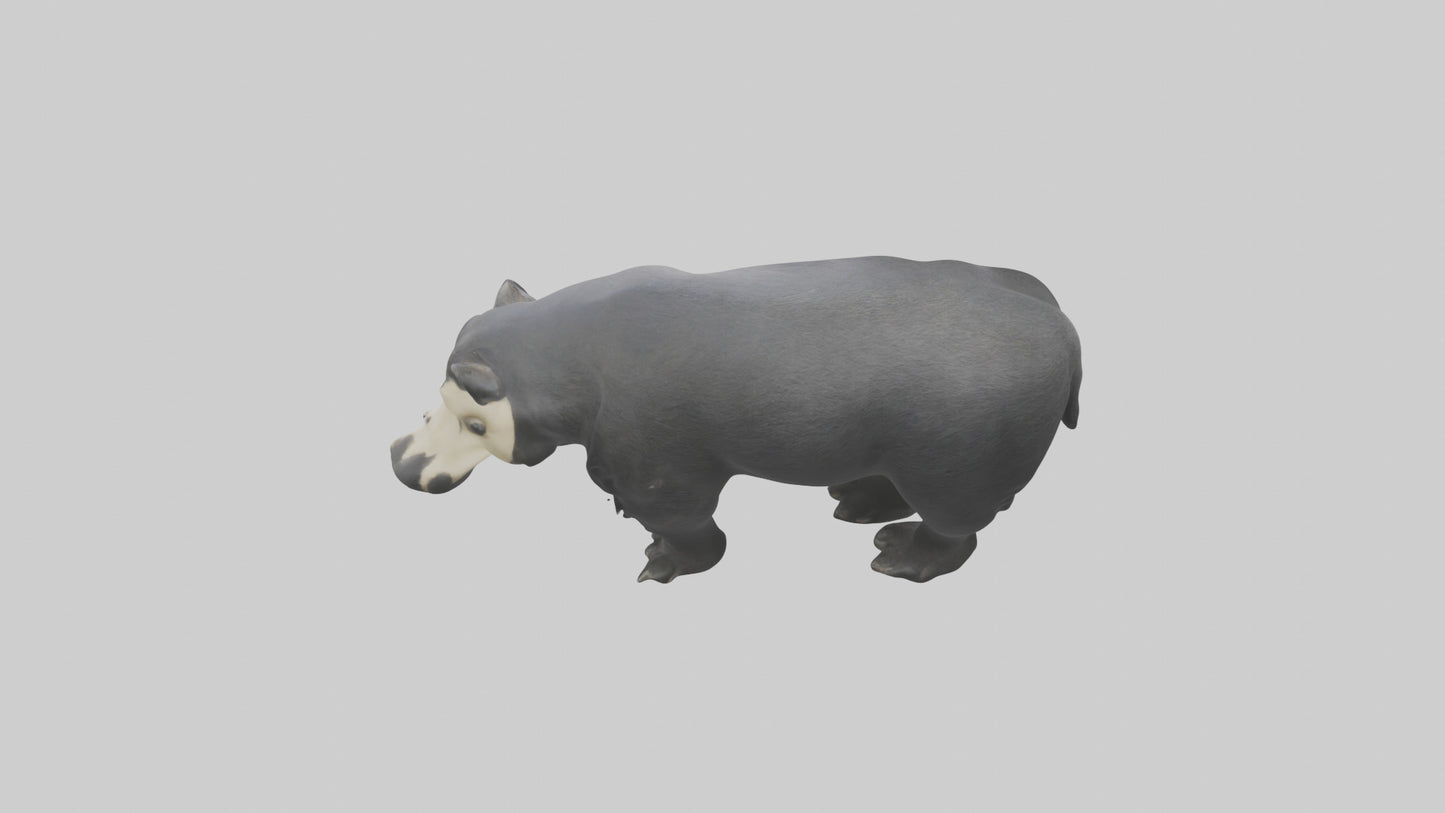 3D model Giant Anteater sniffing ground model VR / AR / low-poly