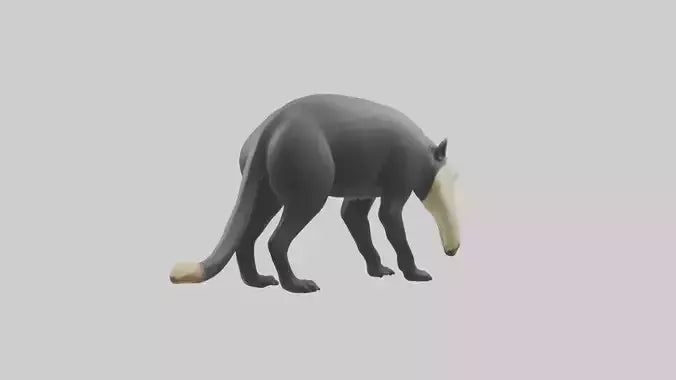 3D model Giant Anteater sniffing ground model VR / AR / low-poly