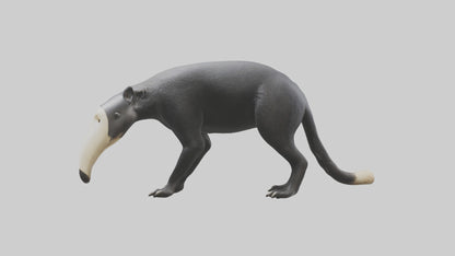 3D model Giant Anteater sniffing ground model VR / AR / low-poly