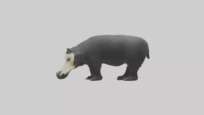 3D model Giant Anteater sniffing ground model VR / AR / low-poly