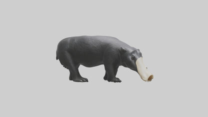3D model Giant Anteater sniffing ground model VR / AR / low-poly
