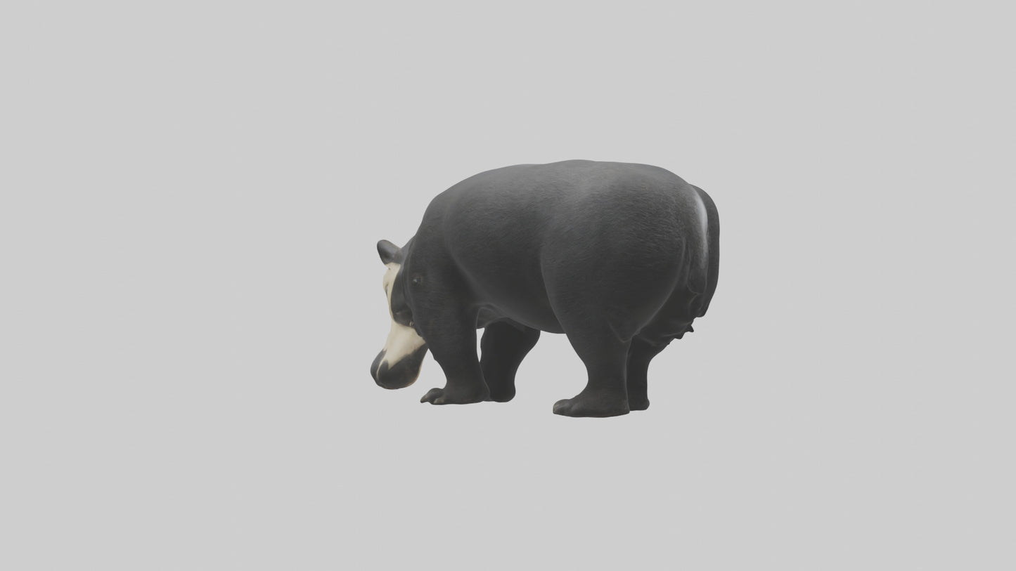 3D model Giant Anteater sniffing ground model VR / AR / low-poly