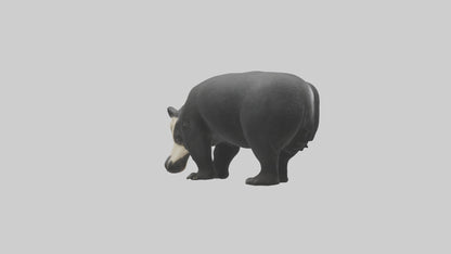 3D model Giant Anteater sniffing ground model VR / AR / low-poly