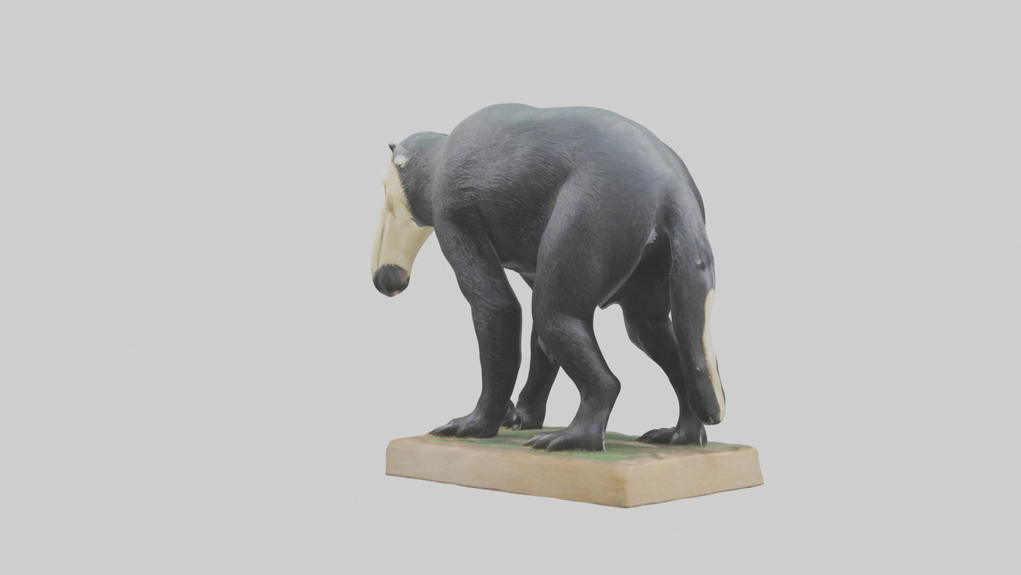 Giant Anteater statue model VR / AR / low-poly