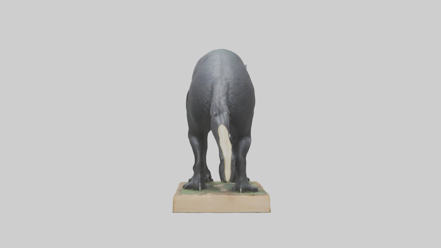 Giant Anteater statue model VR / AR / low-poly