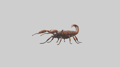 3D model Giant Centipede model VR / AR / low-poly