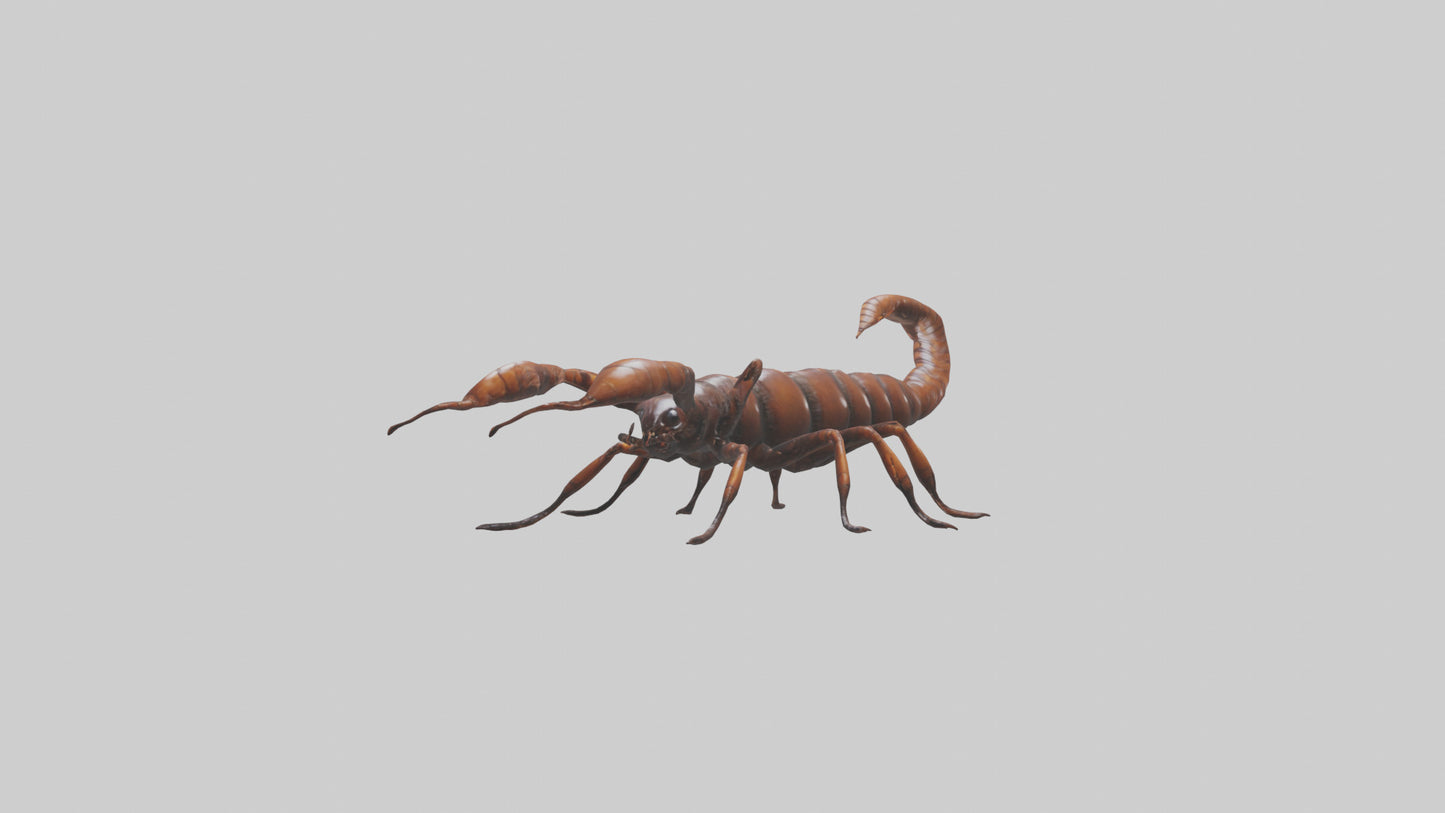 3D model Giant Centipede model VR / AR / low-poly