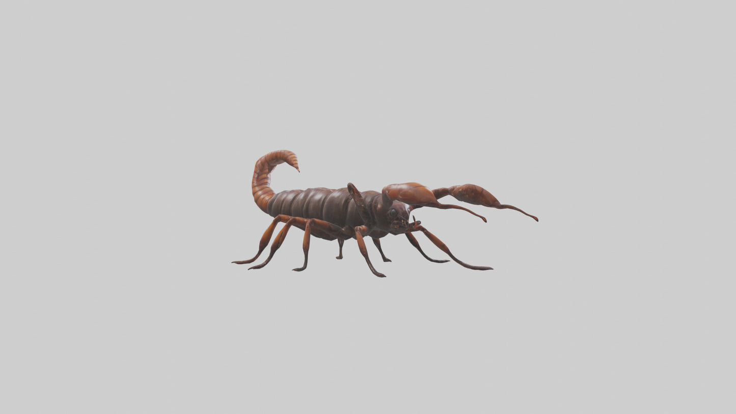 3D model Giant Centipede model VR / AR / low-poly