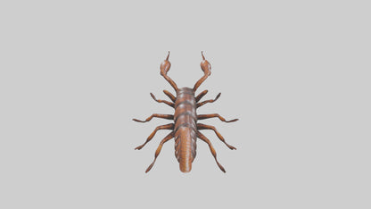 3D model Giant Centipede model VR / AR / low-poly