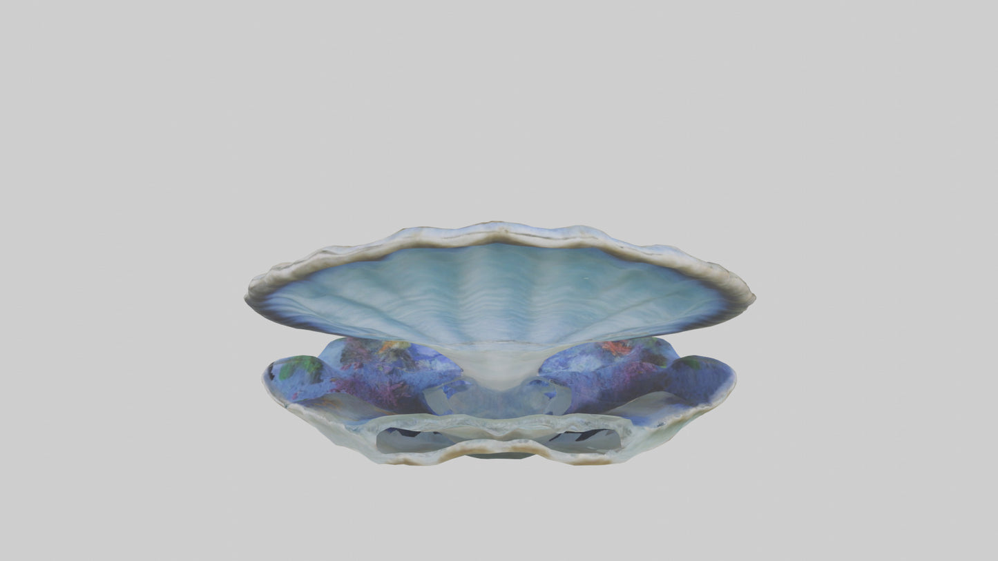 3D model Giant Clam resting on reef model VR / AR / low-poly