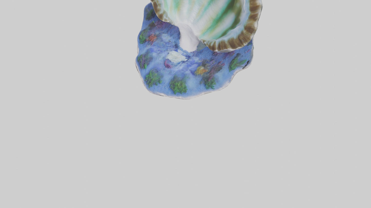 3D model Giant Clam resting on reef model VR / AR / low-poly