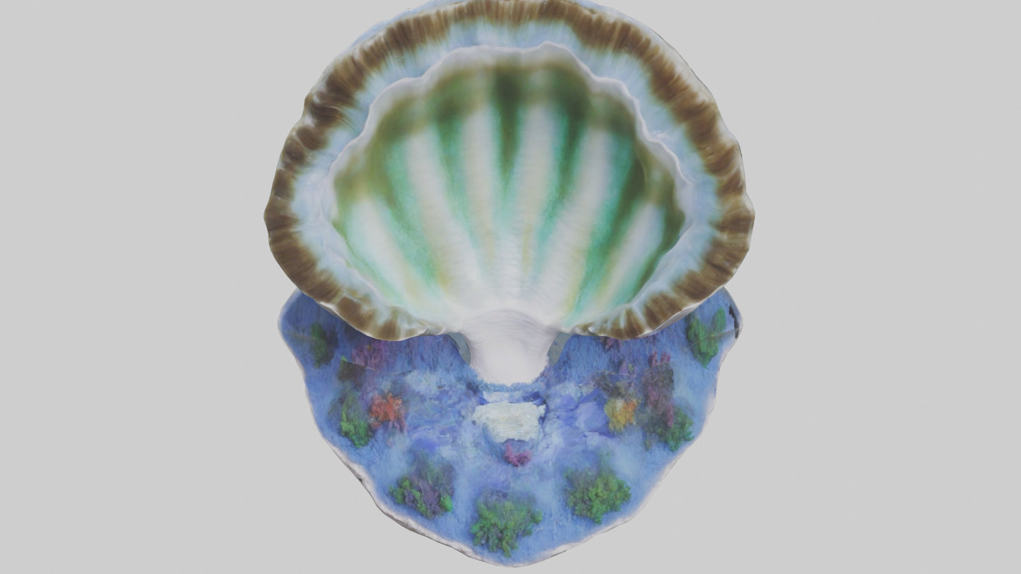 3D model Giant Clam resting on reef model VR / AR / low-poly