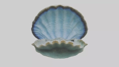 3D model Giant Clam resting on reef model VR / AR / low-poly