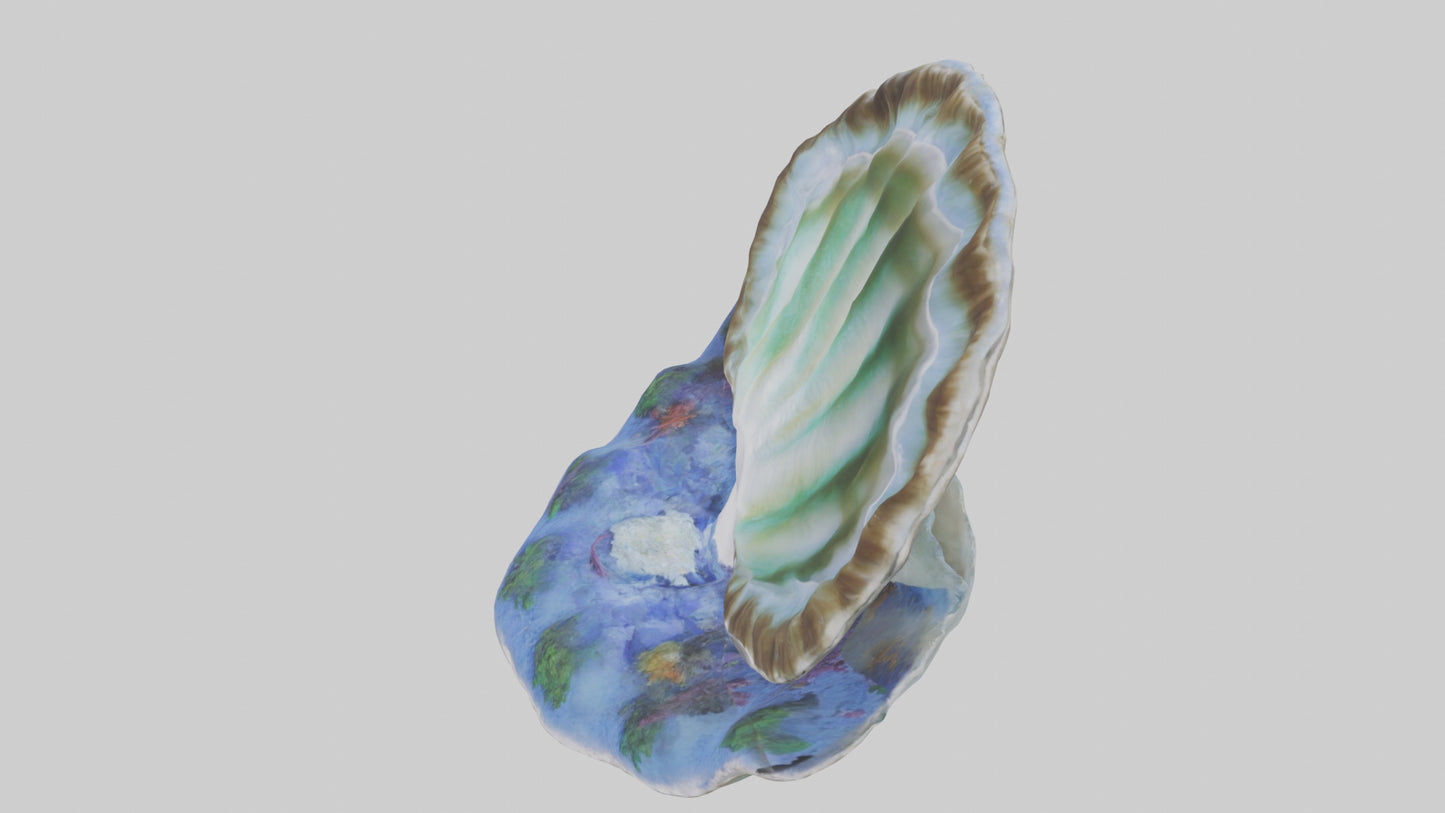 3D model Giant Clam resting on reef model VR / AR / low-poly