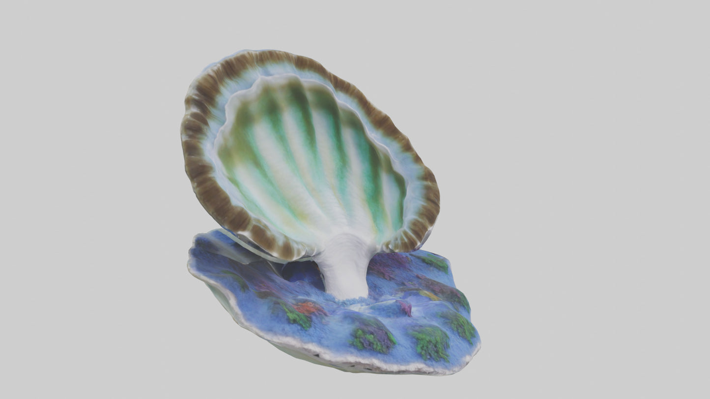 3D model Giant Clam resting on reef model VR / AR / low-poly