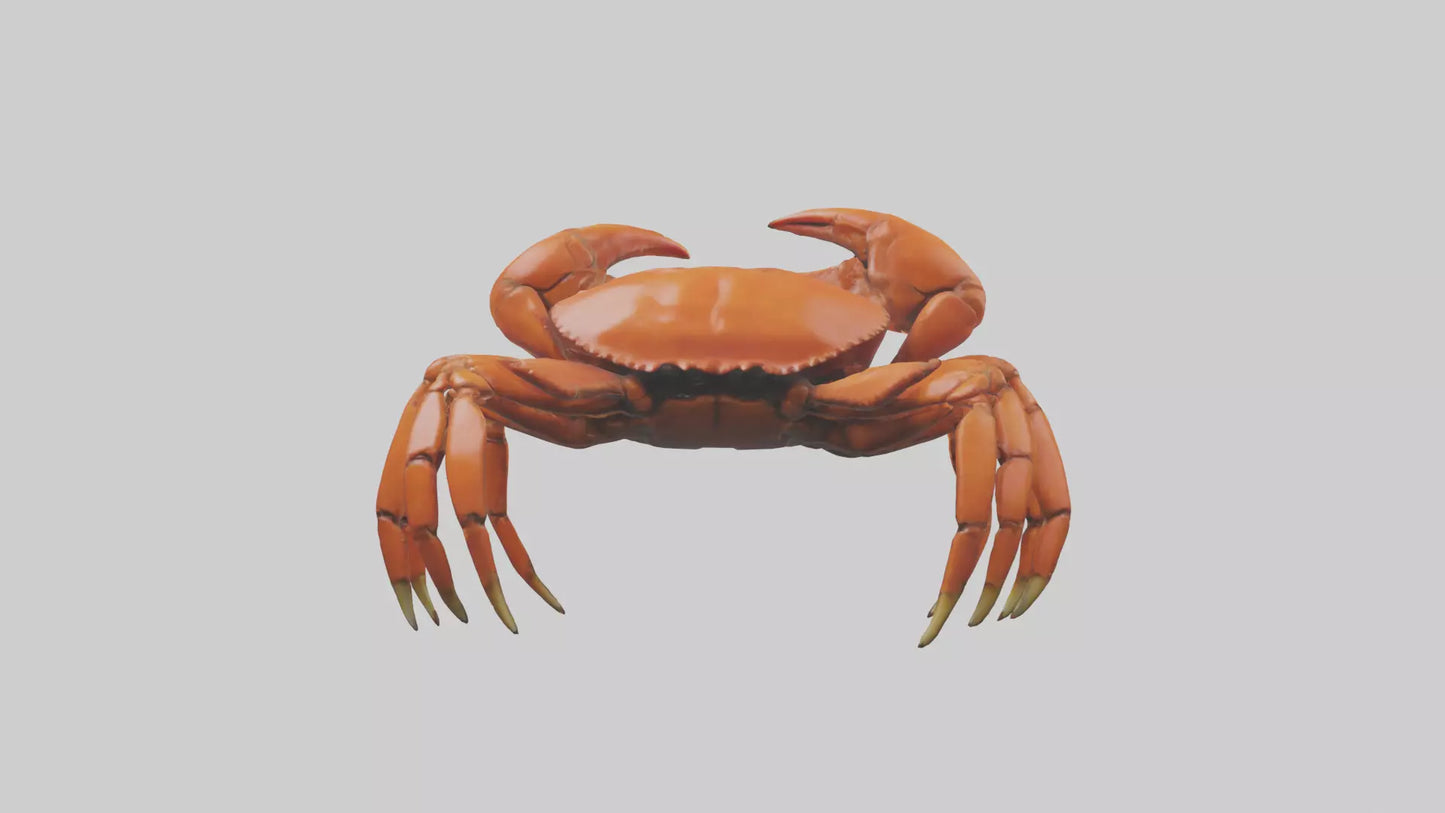 3D model Giant Claw Crab clinging model VR / AR / low-poly