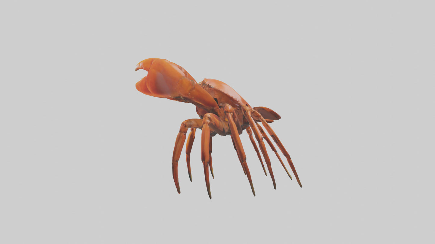 3D model Giant Claw Crab clinging model VR / AR / low-poly