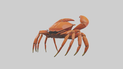 3D model Giant Claw Crab clinging model VR / AR / low-poly