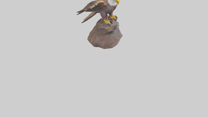 3D model Giant Eagle statue model VR / AR / low-poly