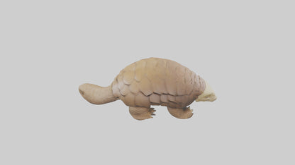 3D model Giant Ground Pangolin resting model VR / AR / low-poly