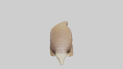 3D model Giant Ground Pangolin resting model VR / AR / low-poly