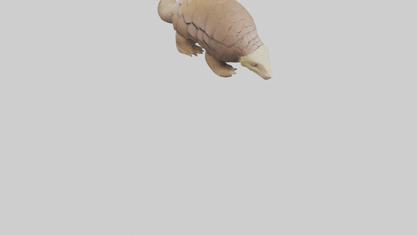3D model Giant Ground Pangolin resting model VR / AR / low-poly