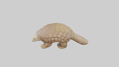 3D model Giant Ground Pangolin resting model VR / AR / low-poly