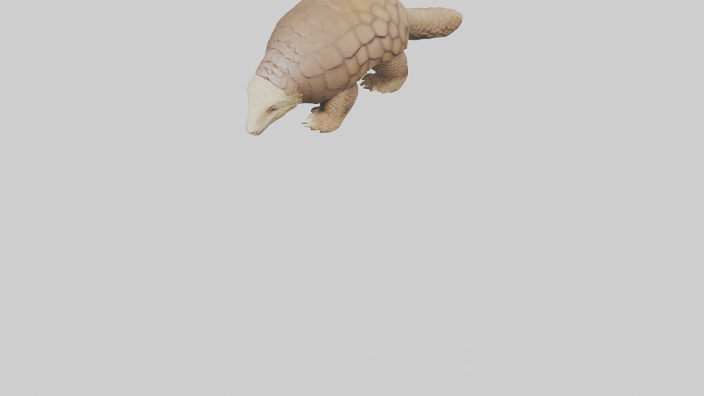 3D model Giant Ground Pangolin resting model VR / AR / low-poly
