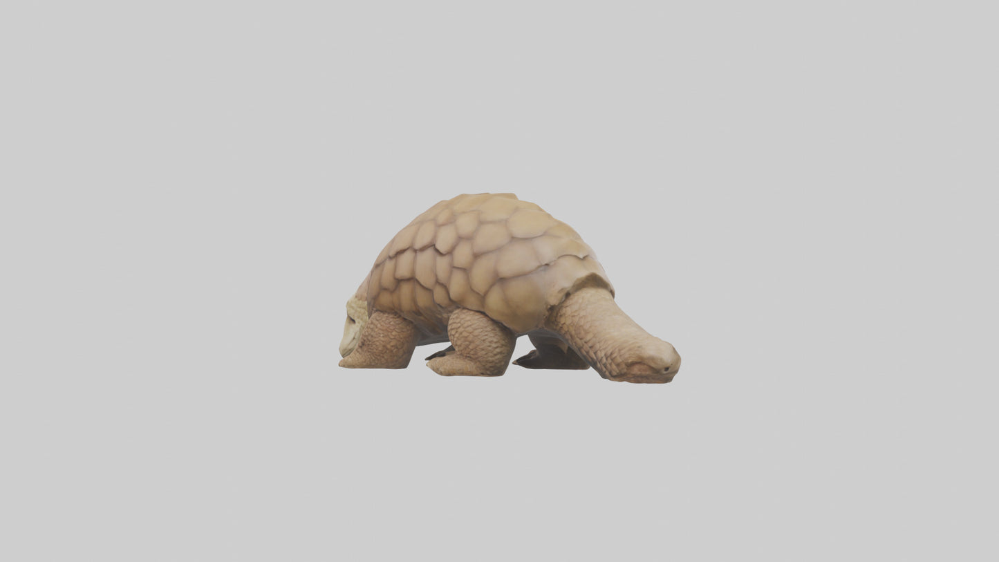 3D model Giant Ground Pangolin resting model VR / AR / low-poly