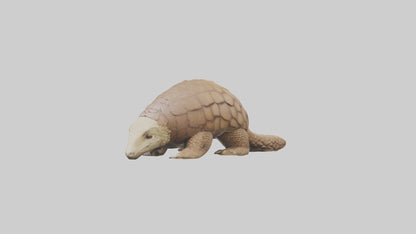 3D model Giant Ground Pangolin resting model VR / AR / low-poly