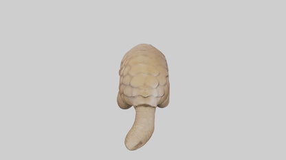 3D model Giant Ground Pangolin resting model VR / AR / low-poly