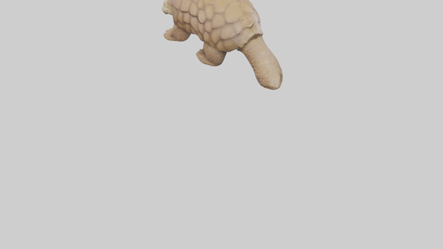 3D model Giant Ground Pangolin resting model VR / AR / low-poly