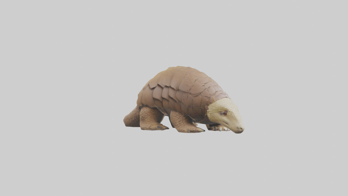 3D model Giant Ground Pangolin resting model VR / AR / low-poly