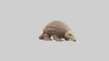3D model Giant Ground Pangolin resting model VR / AR / low-poly