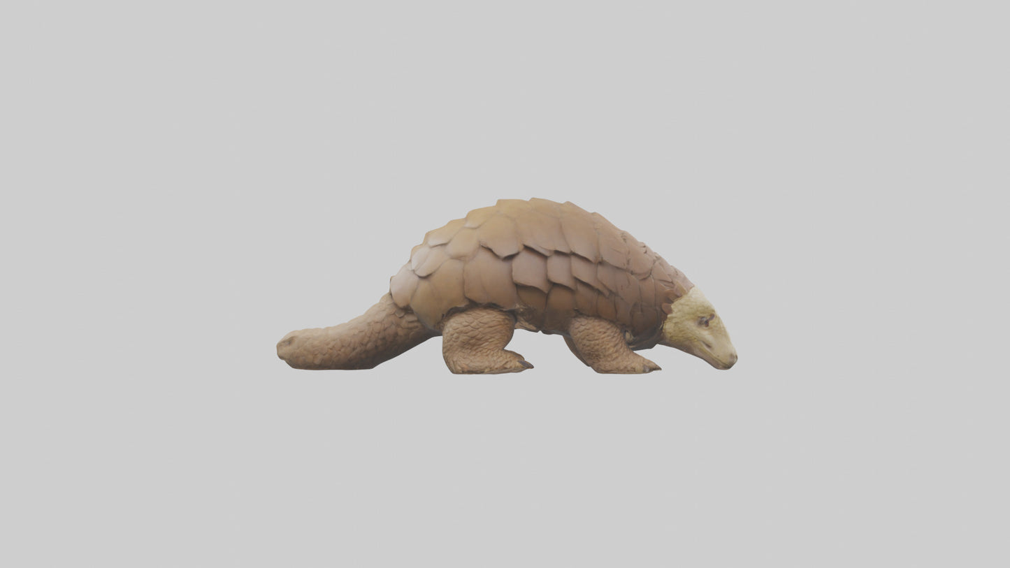3D model Giant Ground Pangolin resting model VR / AR / low-poly