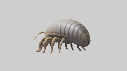 3D model Giant Isopod crawling model VR / AR / low-poly