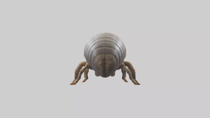 3D model Giant Isopod crawling model VR / AR / low-poly