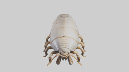 3D model Giant Isopod crawling model VR / AR / low-poly