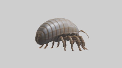 3D model Giant Isopod crawling model VR / AR / low-poly